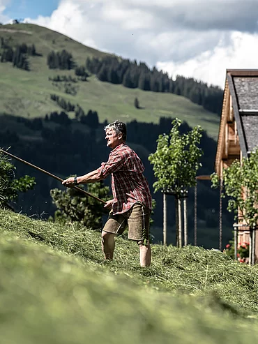 eigene Landwirtschaft Tony mit Kühen auf der Alm, Hotel Unterschwarzachhof in Saalbach Hinterglemm