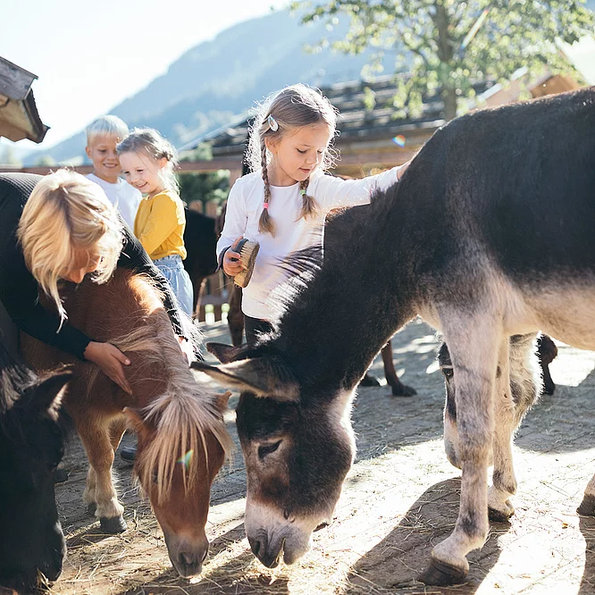 Minibauernhof Kinder im Minibauernhof vom Hotel Unterschwarzachhof
